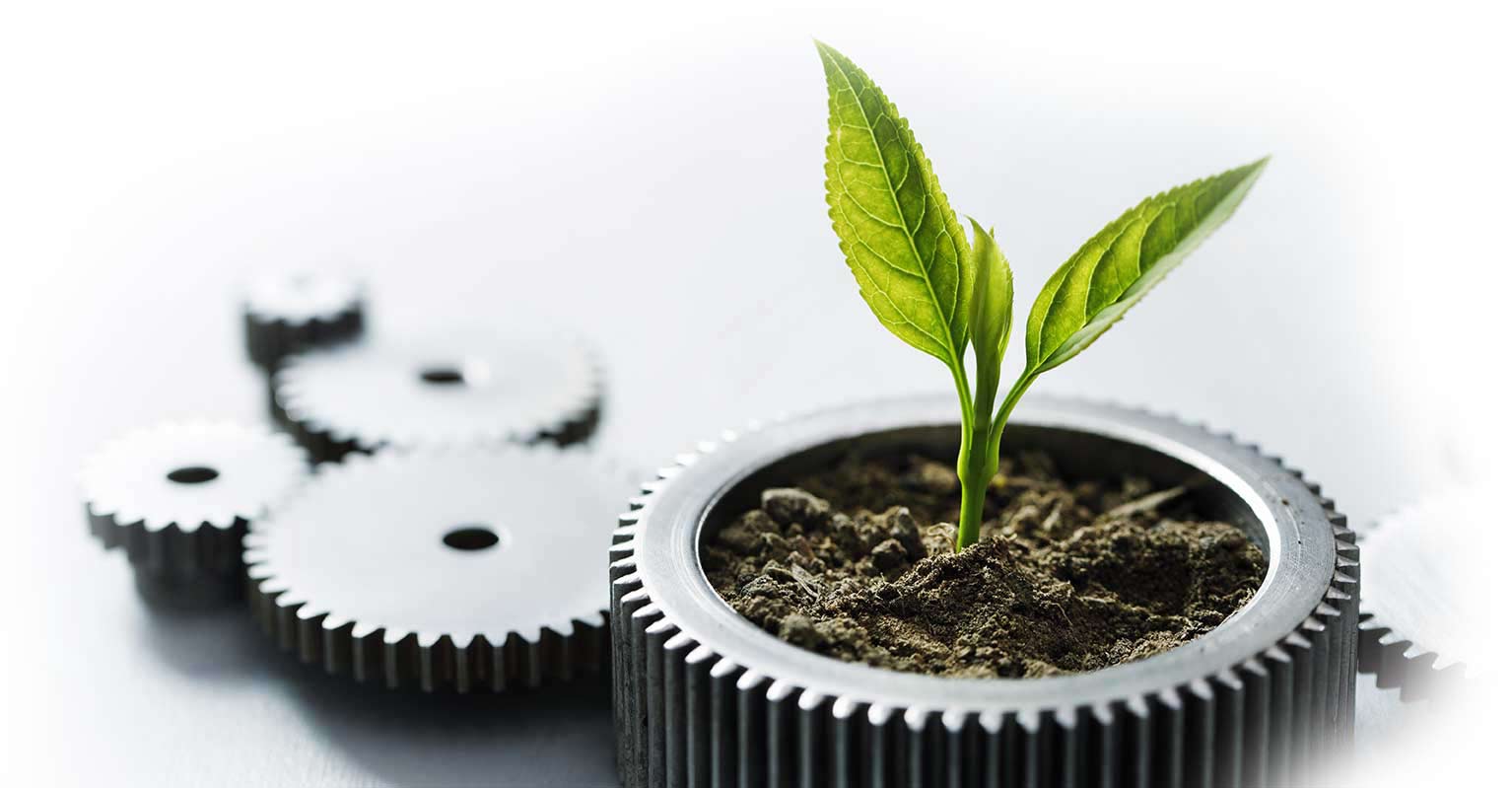 cds-and-IRAs-accounts